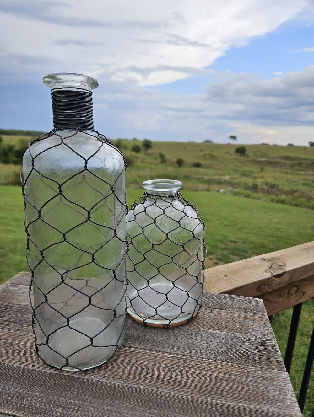Set of 2 Farmhouse Glass Vases Chicken Wire Wrapped Bottles Rustic Decor Boho